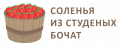 Соленья из студеных бочат